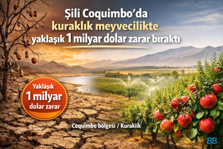 Şili Coquimbo'da kuraklık meyvecilikte yaklaşık 1 milyar dolar zarar bıraktı görseli