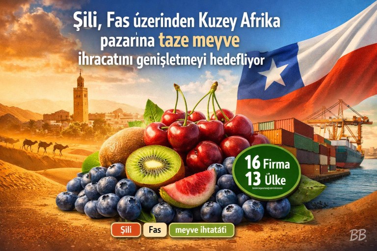 Şili, Fas üzerinden Kuzey Afrika pazarına taze meyve ihracatını genişletmeyi hedefliyor görseli
