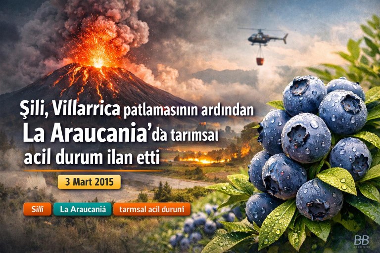 Şili, Villarrica patlamasının ardından La Araucanía'da tarımsal acil durum ilan etti görseli