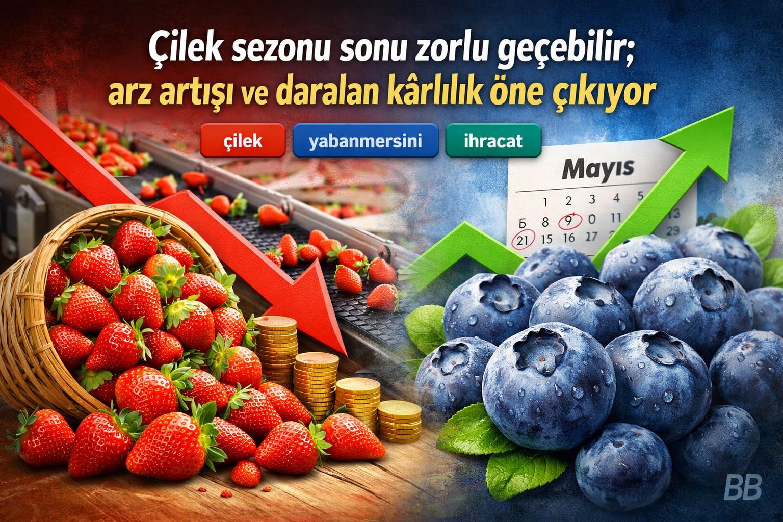 Çilek sezonu sonu zorlu geçebilir; arz artışı ve daralan kârlılık öne çıkıyor gorseli