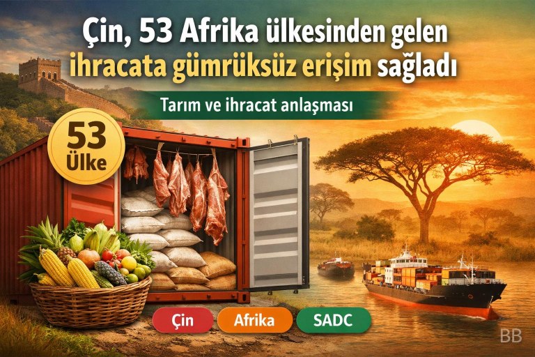 Çin, 53 Afrika ülkesinden gelen ihracata gümrüksüz erişim sağladı görseli
