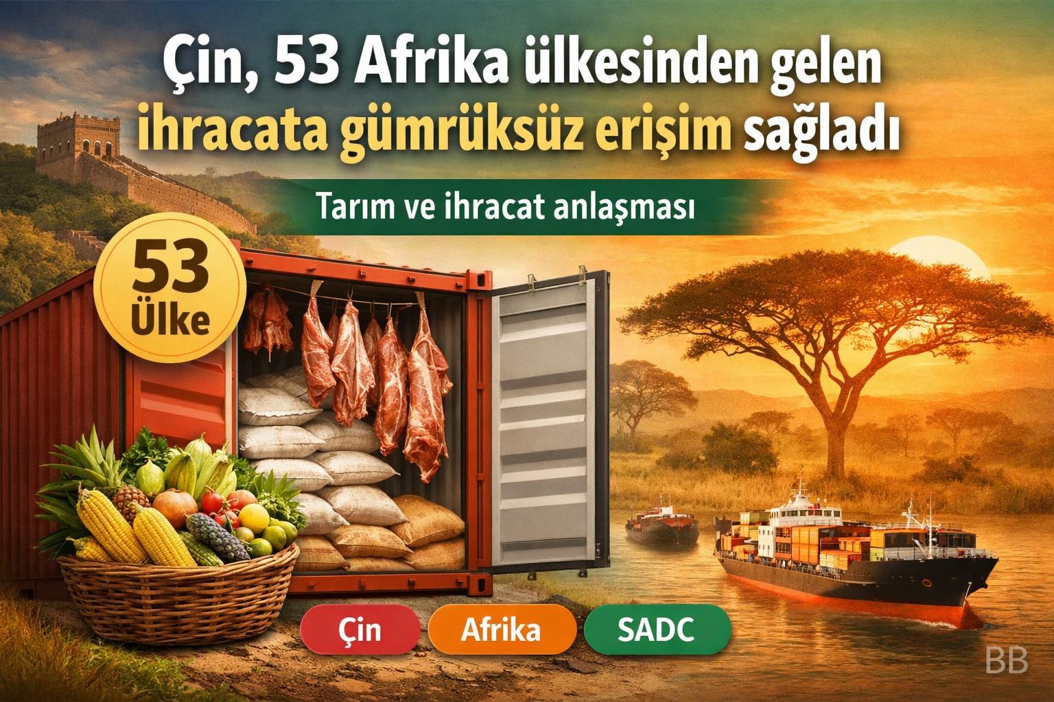 Çin, 53 Afrika ülkesinden gelen ihracata gümrüksüz erişim sağladı gorseli