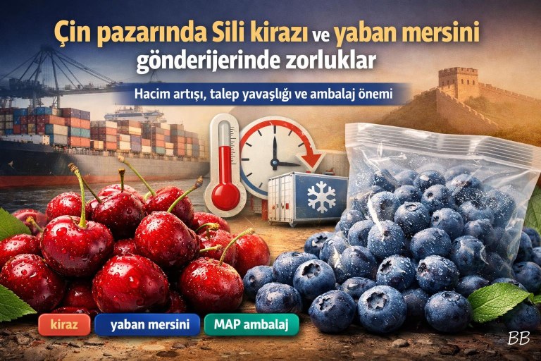 Çin pazarında Şili kirazı ve yaban mersini gönderilerinde zorluklar: hacim artışı, talep yavaşlığı ve ambalaj önemi görseli
