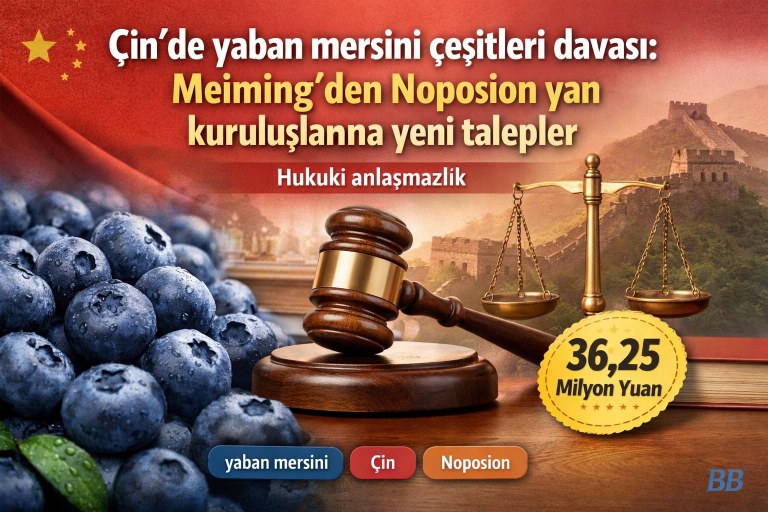 Çin'de yaban mersini çeşitleri davası: Meiming'den Noposion yan kuruluşlarına yeni talepler görseli