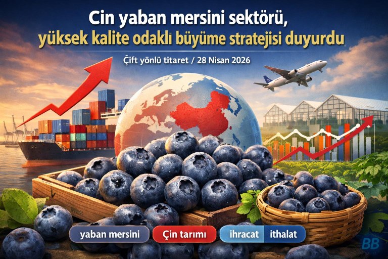 Çin yaban mersini sektörü, yüksek kalite odaklı büyüme stratejisi duyurdu görseli