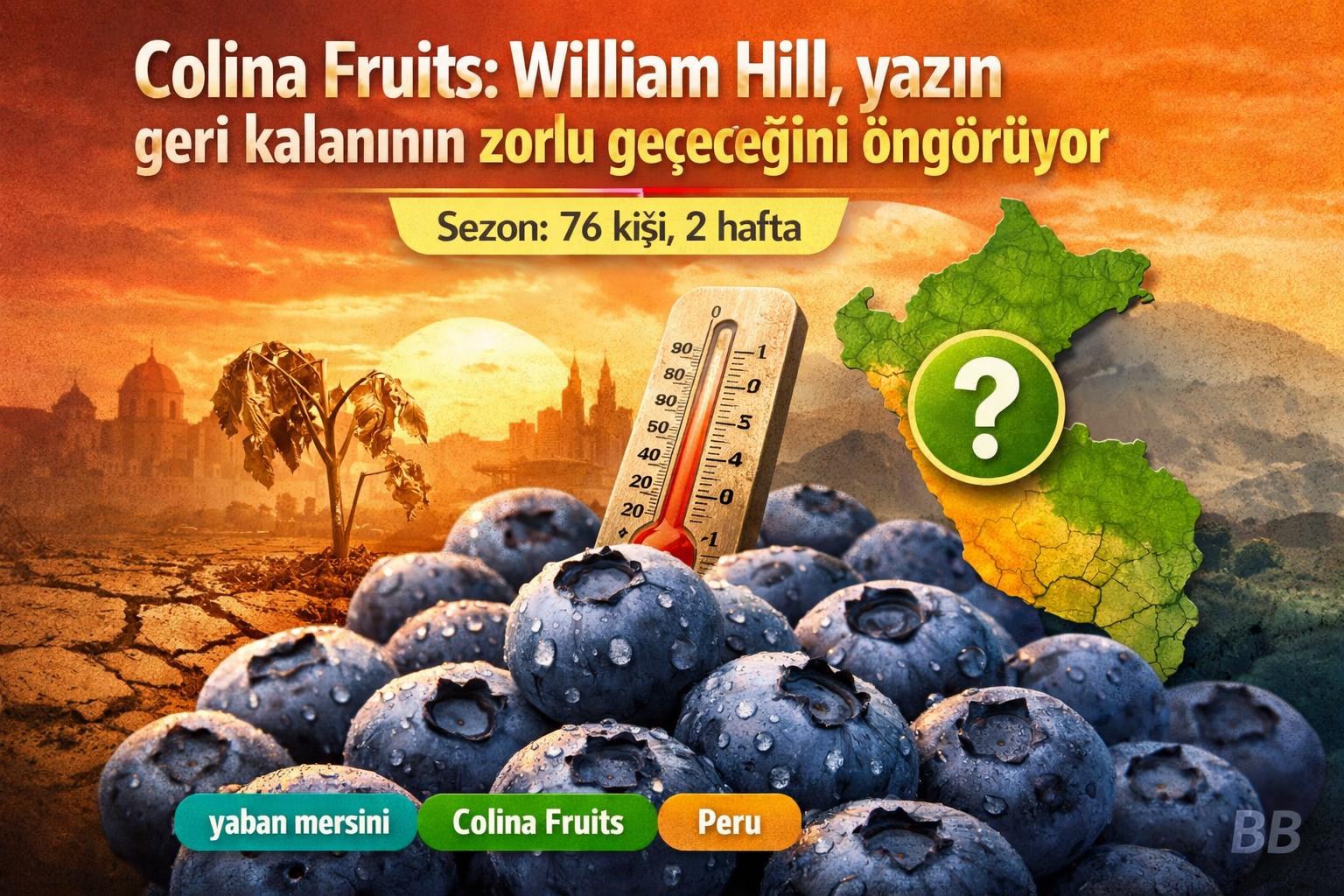 Colina Fruits: William Hill, yazın geri kalanının zorlu geçeceğini öngörüyor gorseli