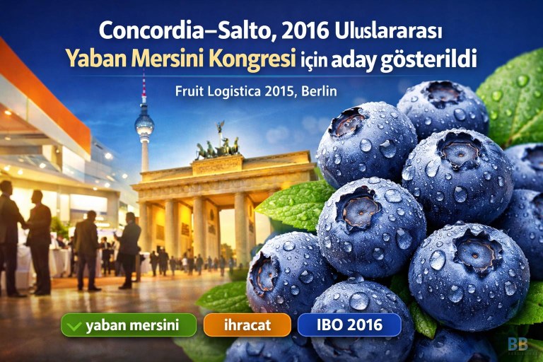 Concordia–Salto, 2016 Uluslararası Yaban Mersini Kongresi için aday gösterildi görseli
