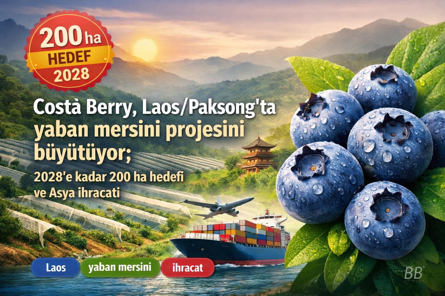 Costa Berry, Laos/Paksong'ta yaban mersini projesini büyütüyor; 2028'e kadar 200 ha hedefi ve Asya ihracatı görseli