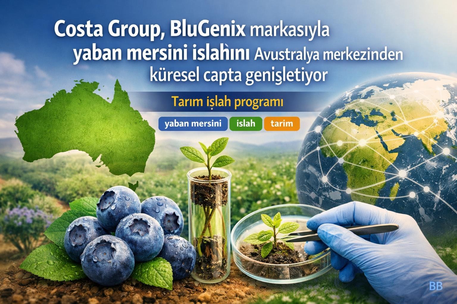 Costa Group, BluGenix markasıyla yaban mersini ıslahını Avustralya merkezinden küresel çapta genişletiyor görseli