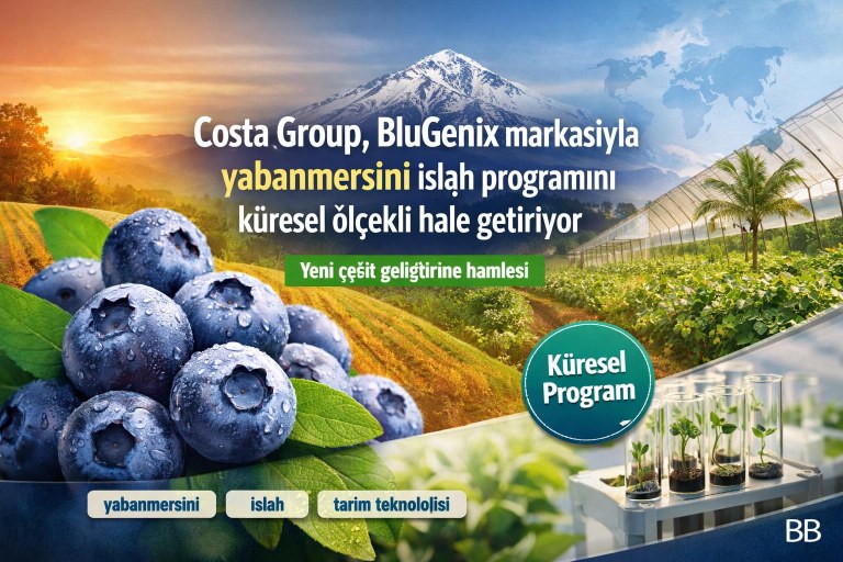 Costa Group, BluGenix markasıyla yabanmersini ıslah programını küresel ölçekli hale getiriyor görseli