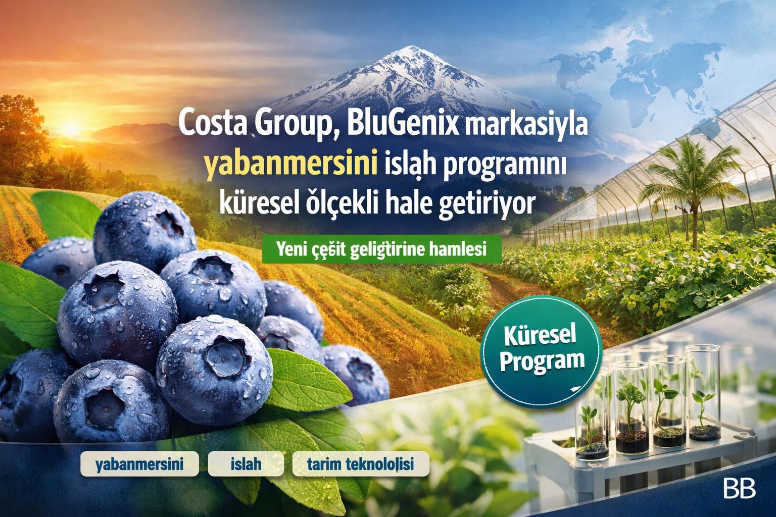 Costa Group, BluGenix markasıyla yabanmersini ıslah programını küresel ölçekli hale getiriyor görseli