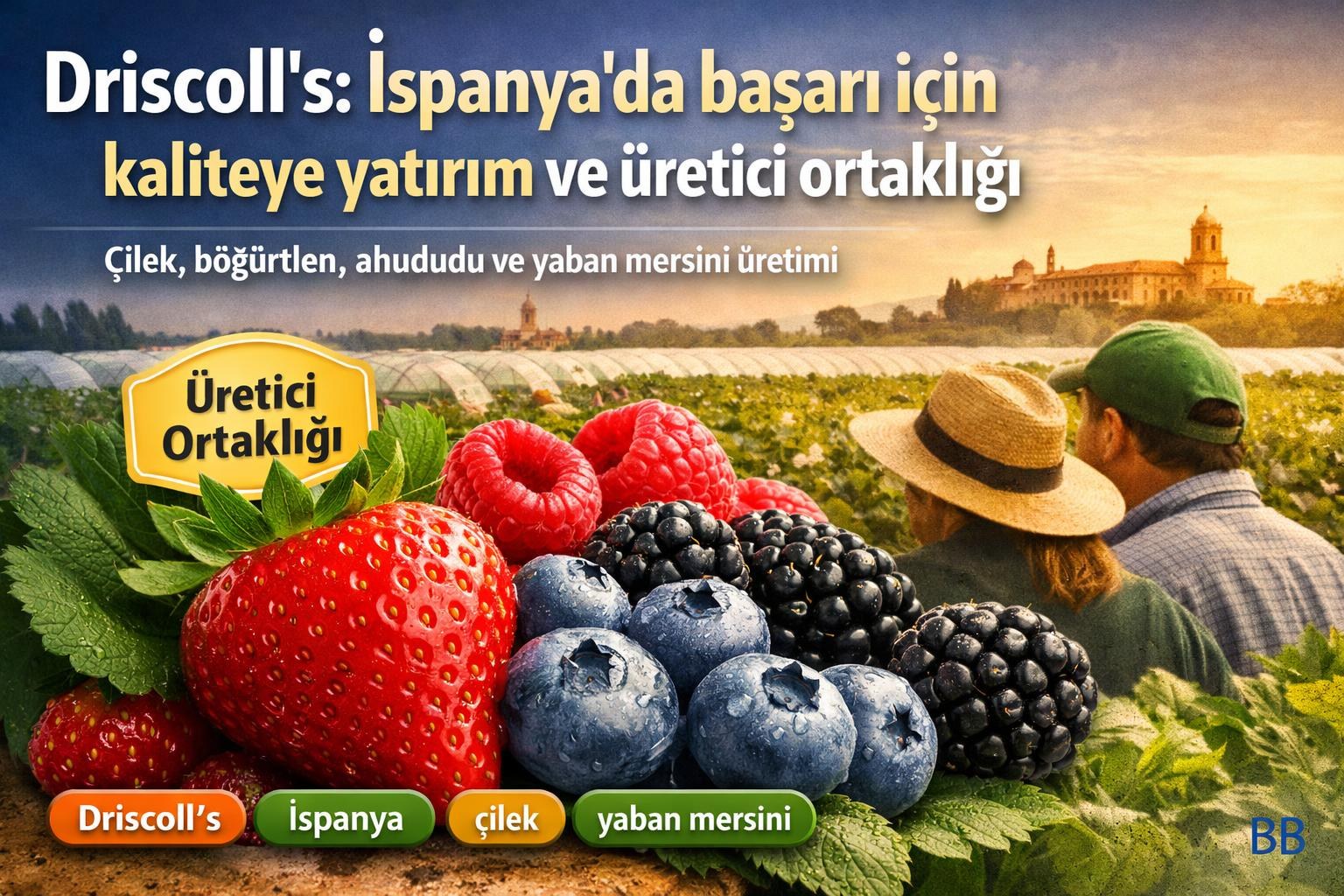 Driscoll's: İspanya'da başarı için kaliteye yatırım ve üretici ortaklığı görseli