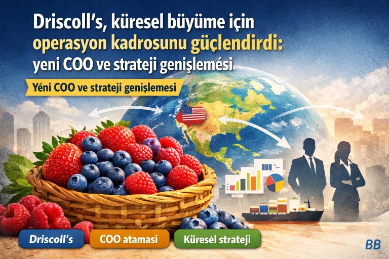 Driscoll’s, küresel büyüme için operasyon kadrosunu güçlendirdi: yeni COO ve strateji genişlemesi görseli