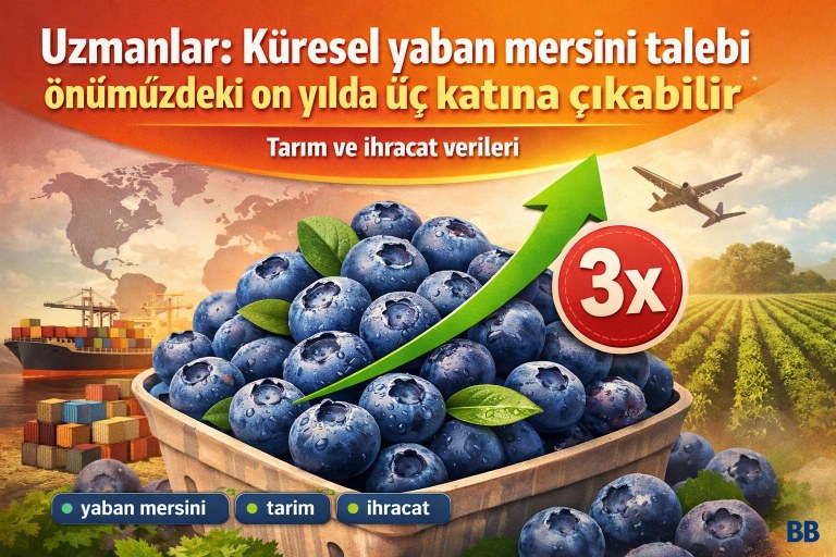 Uzmanlar: Küresel yaban mersini talebi önümüzdeki on yılda üç katına çıkabilir görseli