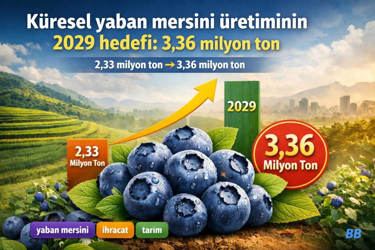 Küresel yaban mersini üretiminin 2029 hedefi: 3,36 milyon ton görseli