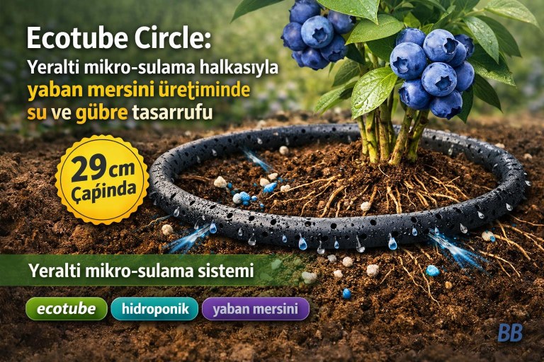 Ecotube Circle: Yeraltı mikro-sulama halkasıyle yaban mersini üretiminde su ve gübre tasarrufu görseli