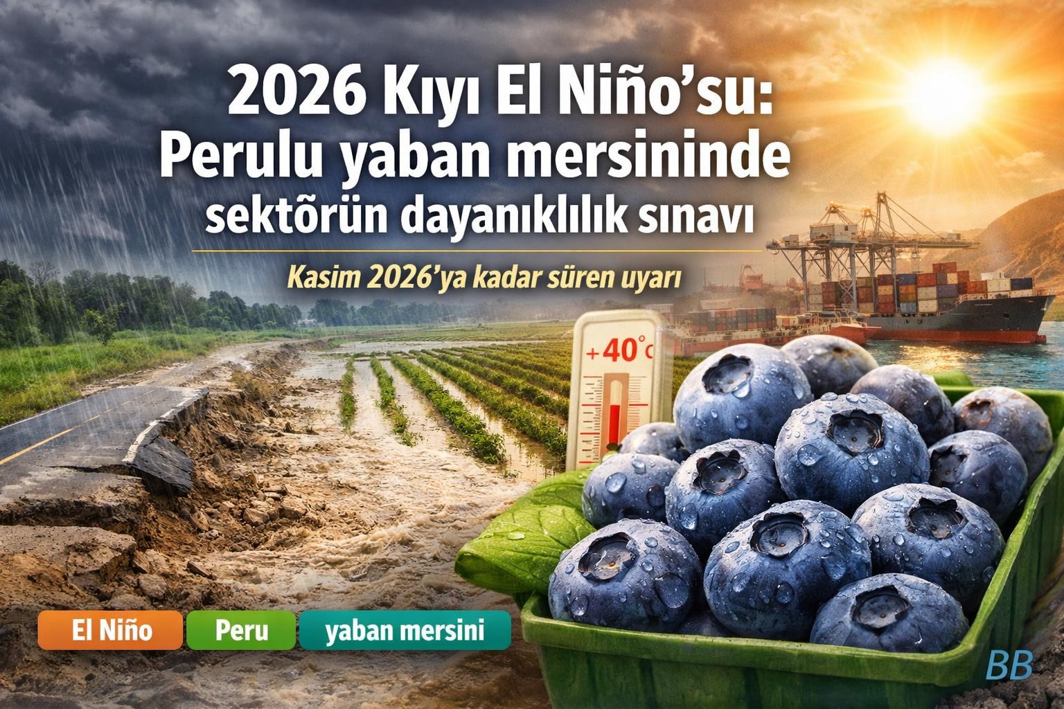 2026 Kıyı El Niño’su: Perulu yaban mersininde sektörün dayanıklılık sınavı gorseli