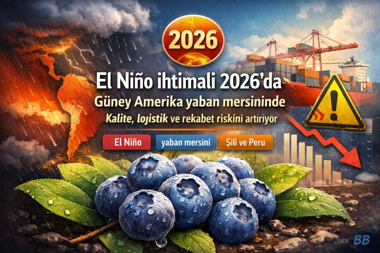 El Niño ihtimali 2026'da Güney Amerika yaban mersininde kalite, lojistik ve rekabet riskini artırıyor görseli