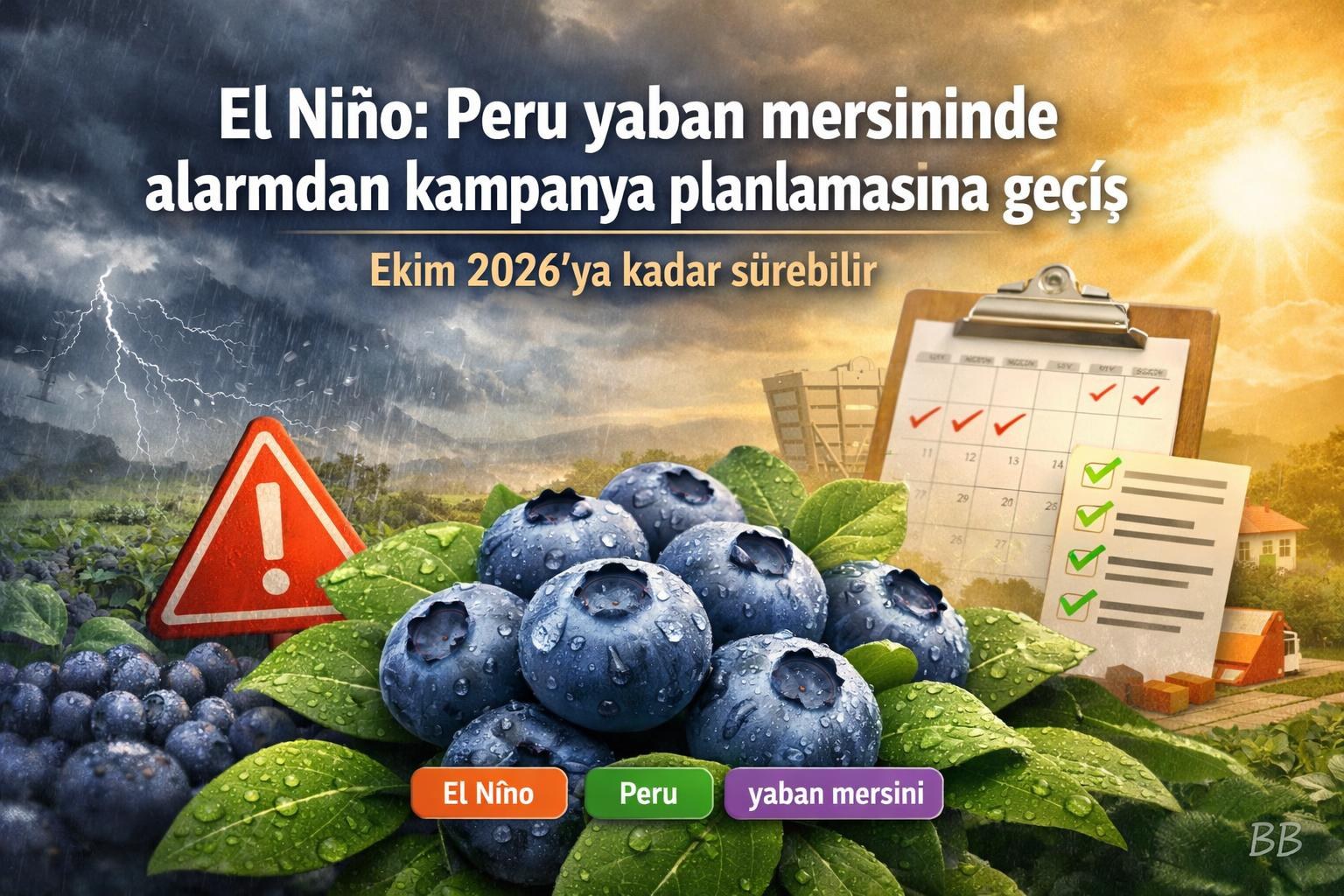 El Niño: Peru yaban mersininde alarmdan kampanya planlamasına geçiş gorseli