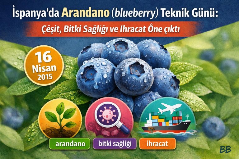 İspanya'da Arandano (blueberry) Teknik Günü: Çeşit, Bitki Sağlığı ve İhracat Öne çıktı görseli