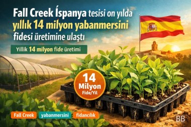Fall Creek İspanya tesisi on yılda yıllık 14 milyon yabanmersini fidesi üretimine ulaştı görseli