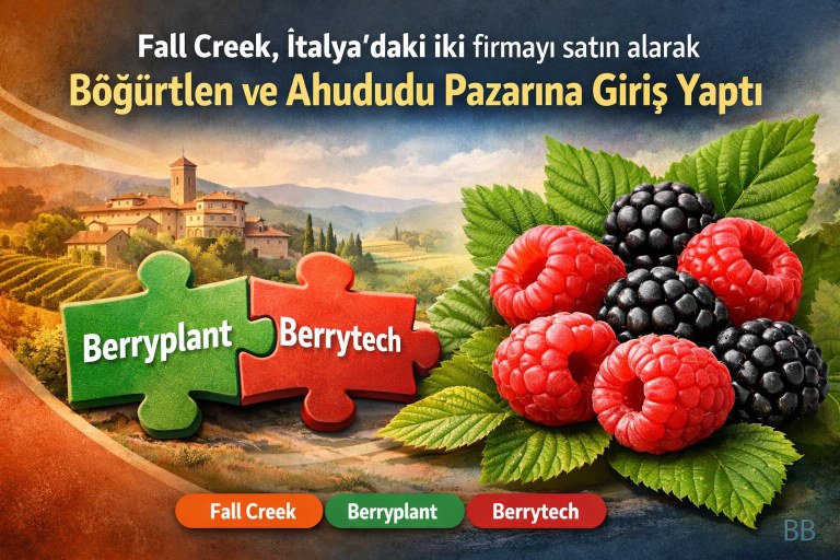 Fall Creek, İtalya'daki iki firmayı satın alarak böğürtlen ve ahududu pazarına giriş yaptı görseli