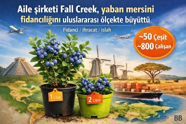 Aile şirketi Fall Creek, yaban mersini fidancılığını uluslararası ölçekte büyüttü görseli