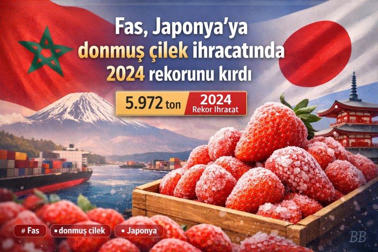Fas, Japonya'ya donmuş çilek ihracatında 2024 rekorunu kırdı görseli
