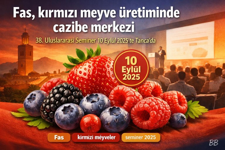 Fas, kırmızı meyve üretiminde cazibe merkezi — 38. Uluslararası Seminer 10 Eylül 2025'te Tanca'da görseli