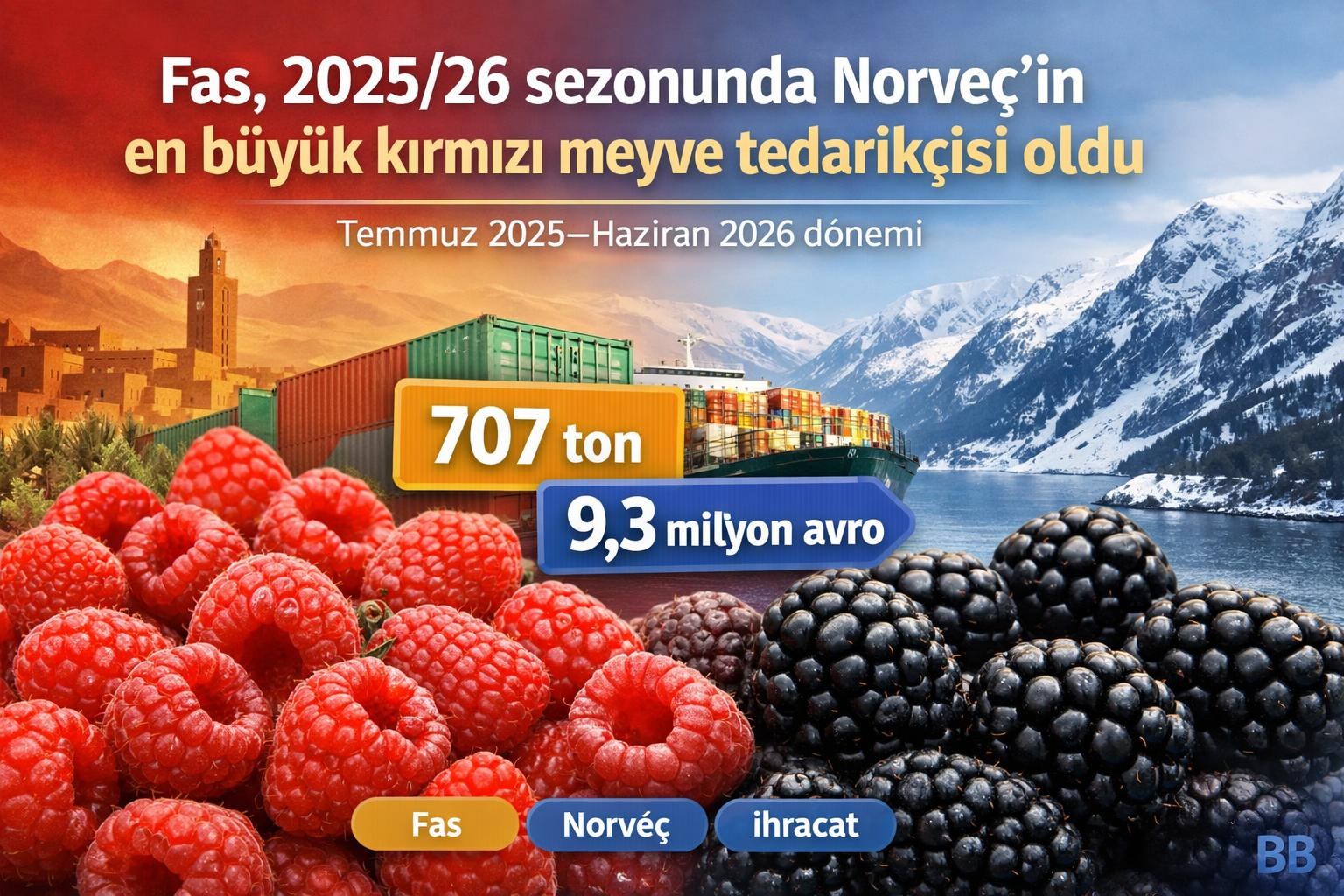Fas, 2025/26 sezonunda Norveç'in en büyük kırmızı meyve tedarikçisi oldu gorseli