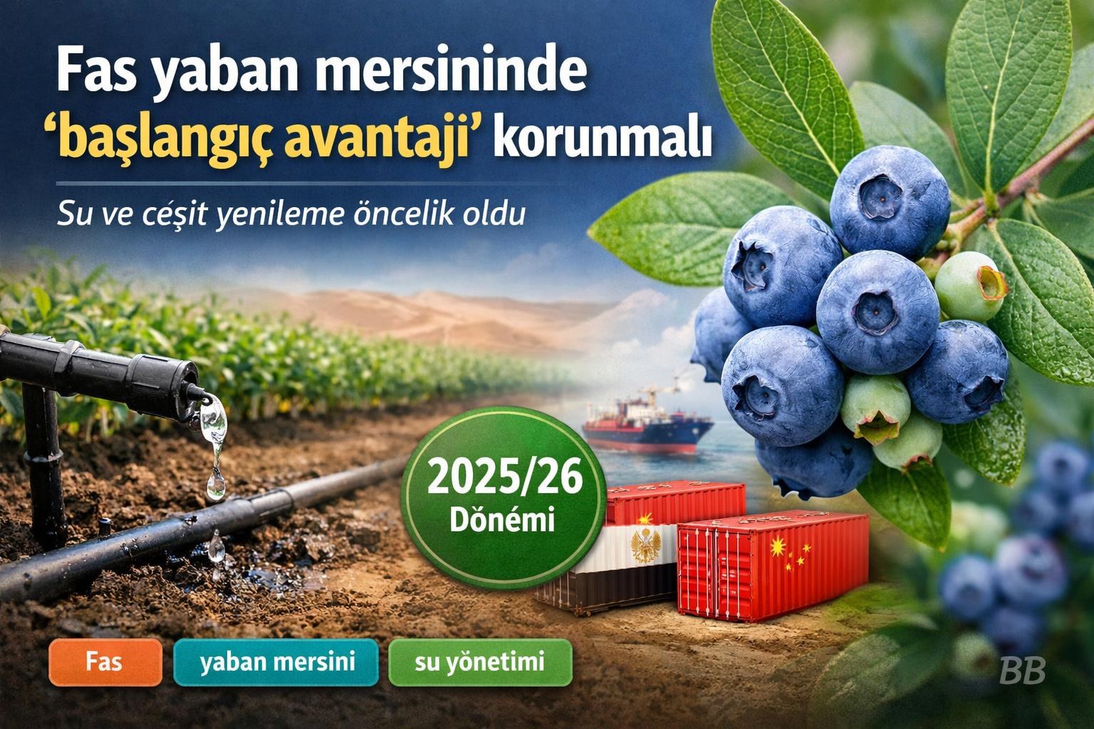 Fas yaban mersininde 'başlangıç avantajı' korunmalı; su ve çeşit yenileme öncelik oldu gorseli