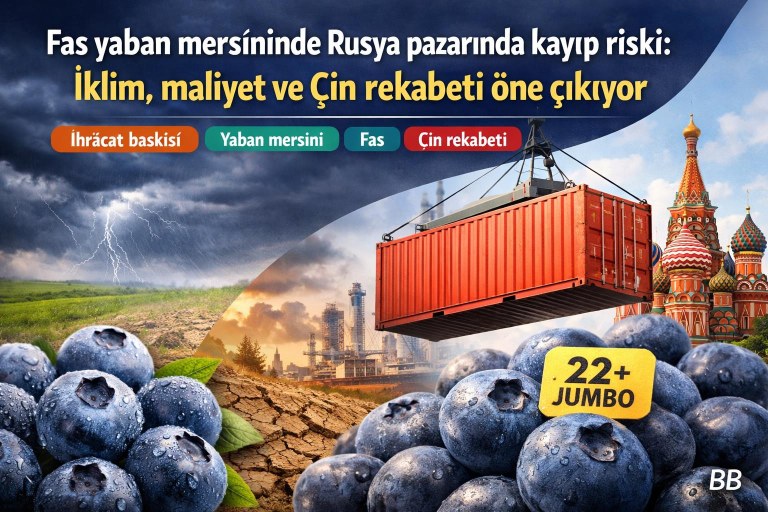 Fas yaban mersininde Rusya pazarında kayıp riski: İklim, maliyet ve Çin rekabeti öne çıkıyor görseli