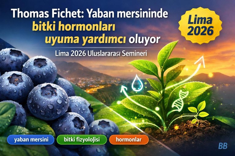 Thomas Fichet: Yaban mersininde bitki hormonları uyuma yardımcı oluyor görseli