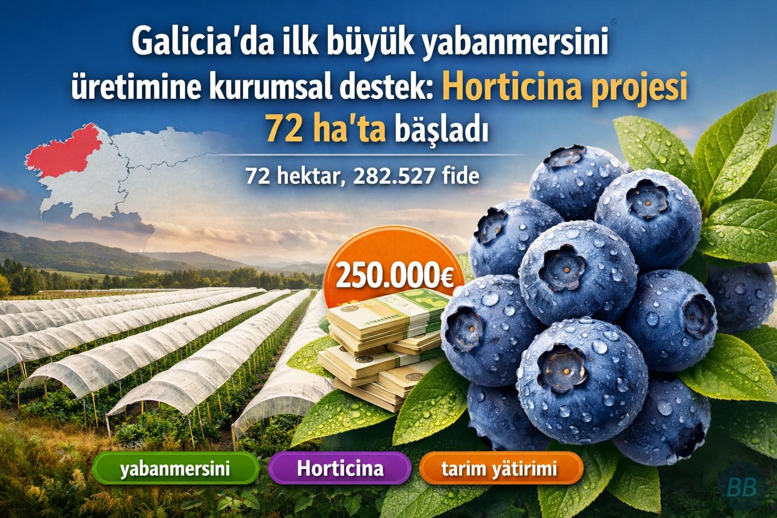 Galicia’da ilk büyük yabanmersini üretimine kurumsal destek: Horticina projesi 72 ha’ta başladı görseli