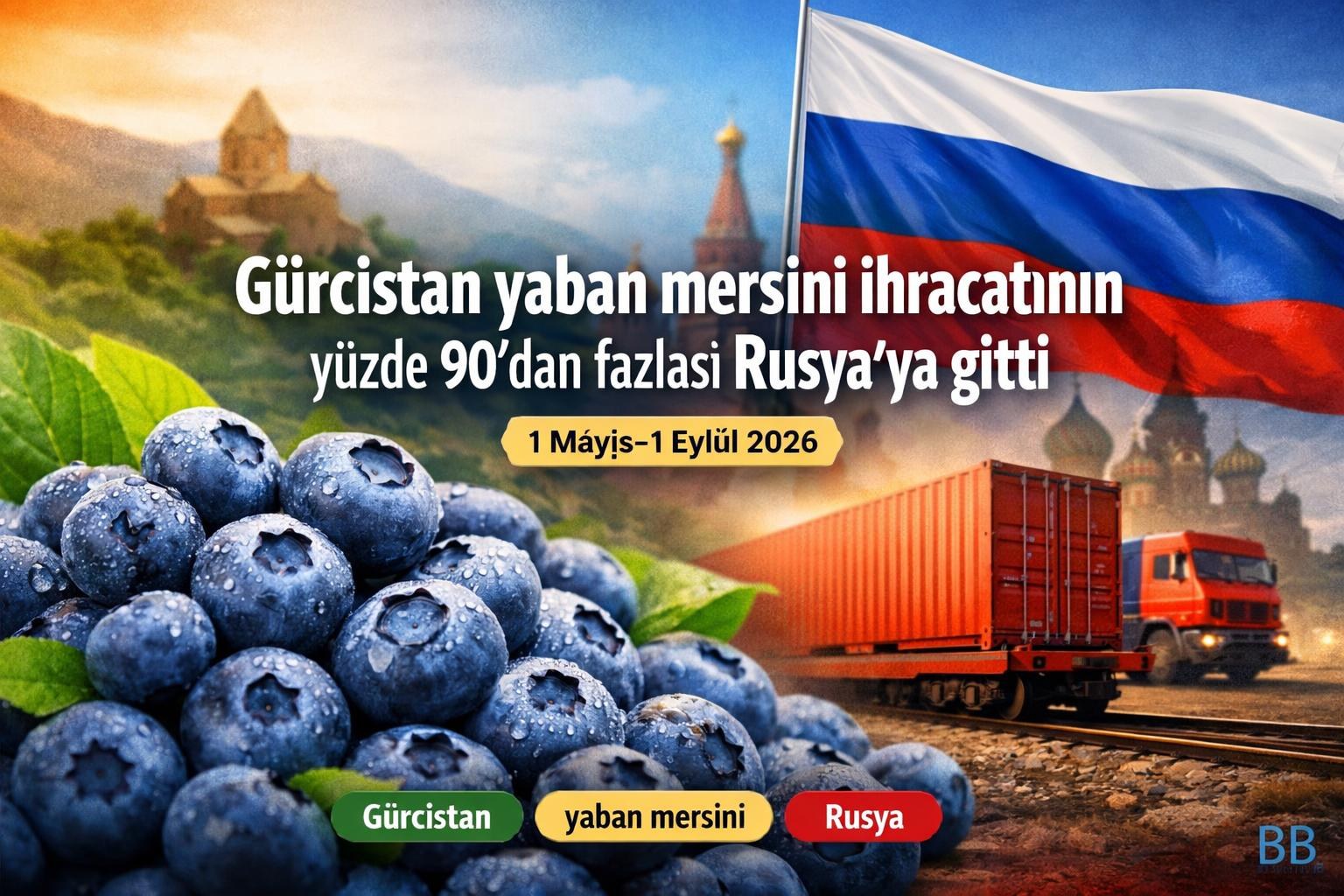 Gürcistan yaban mersini ihracatının yüzde 90'dan fazlası Rusya'ya gitti görseli