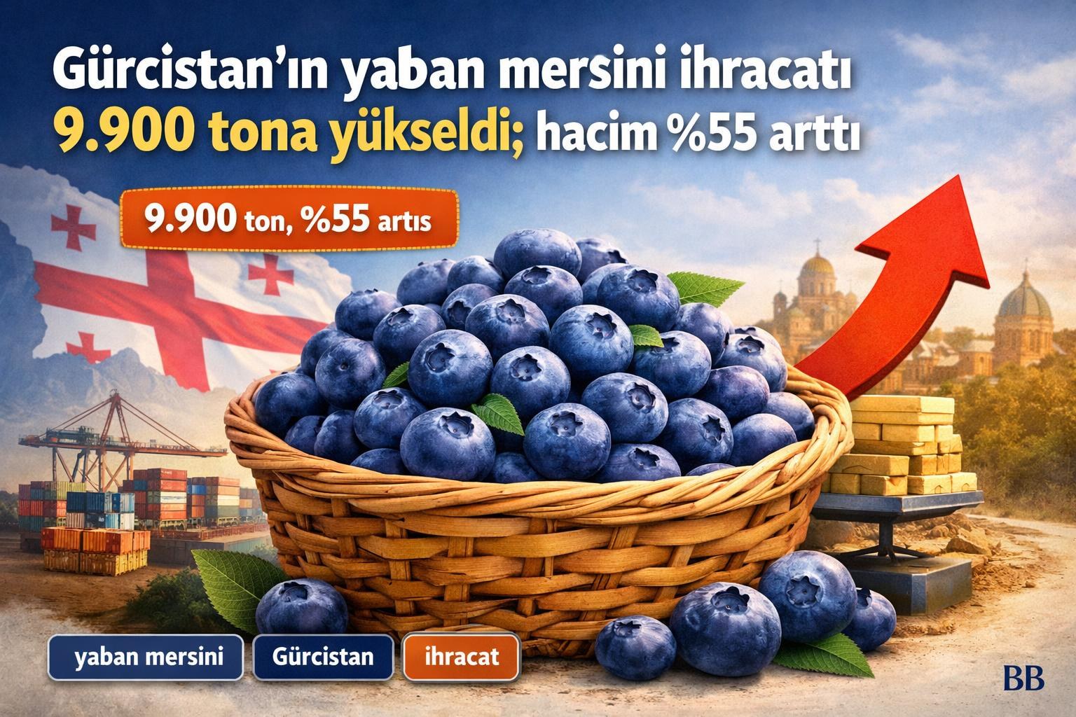 Gürcistan'ın yaban mersini ihracatı 9.900 tona yükseldi; hacim %55 arttı gorseli