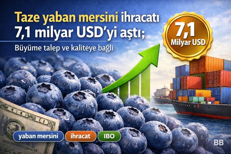 Taze yaban mersini ihracatı 7,1 milyar USD'yi aştı; büyüme talep ve kaliteye bağlı görseli