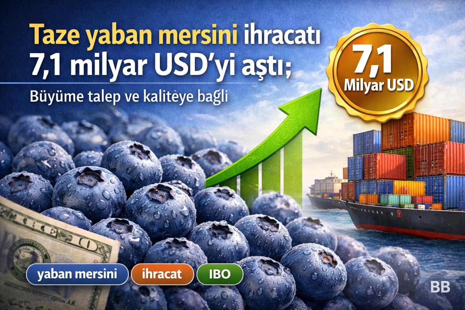 Taze yaban mersini ihracatı 7,1 milyar USD'yi aştı; büyüme talep ve kaliteye bağlı görseli