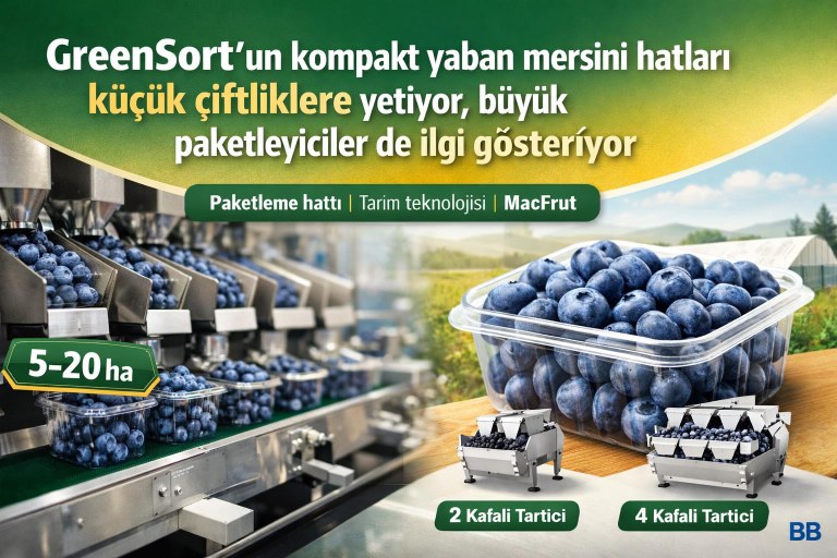 GreenSort’un kompakt yaban mersini hatları küçük çiftliklere yetiyor, büyük paketleyiciler de ilgi gösteriyor görseli