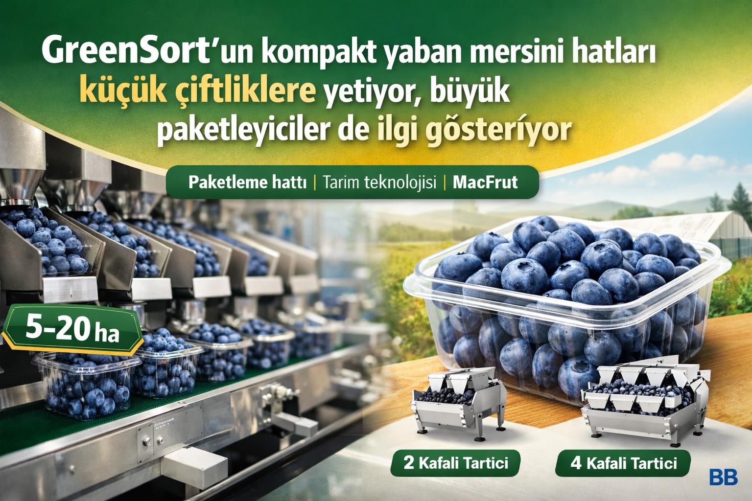 GreenSort’un kompakt yaban mersini hatları küçük çiftliklere yetiyor, büyük paketleyiciler de ilgi gösteriyor görseli