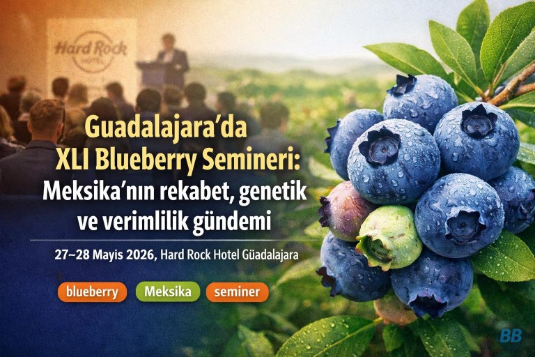 Guadalajara’da XLI Blueberry Semineri: Meksika’nın rekabet, genetik ve verimlilik gündemi görseli