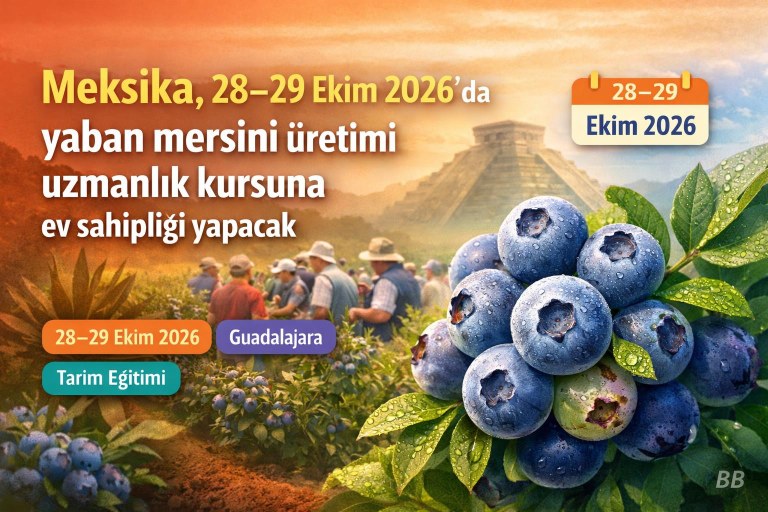 Meksika, 28–29 Ekim 2026'da yaban mersini üretimi uzmanlık kursuna ev sahipliği yapacak görseli