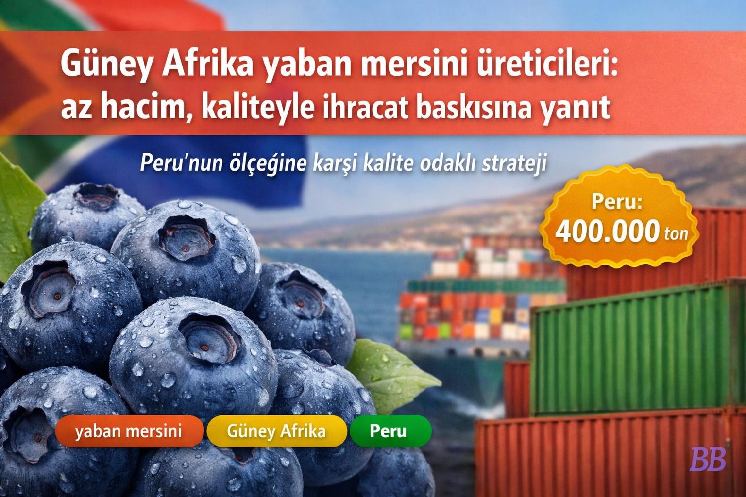 Güney Afrika yaban mersini üreticileri: az hacim, kaliteyle ihracat baskısına yanıt görseli