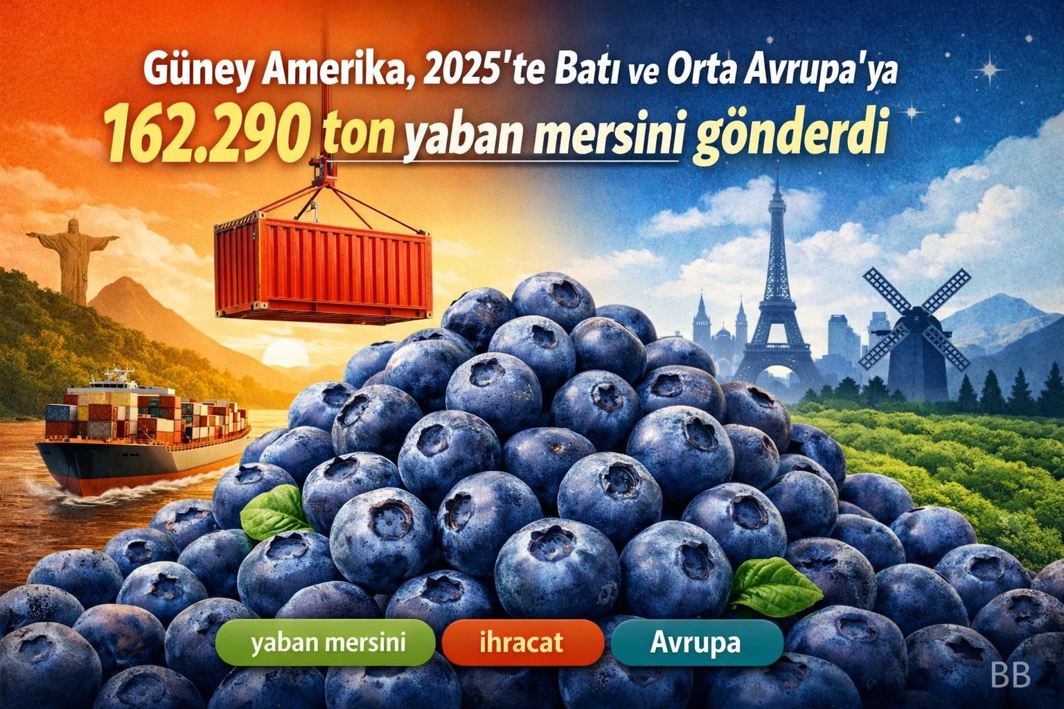Güney Amerika, 2025'te Batı ve Orta Avrupa'ya 162.290 ton yaban mersini gönderdi gorseli