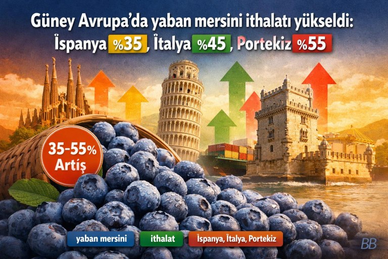 Güney Avrupa'da yaban mersini ithalatı yükseldi: İspanya %35, İtalya %45, Portekiz %55 görseli