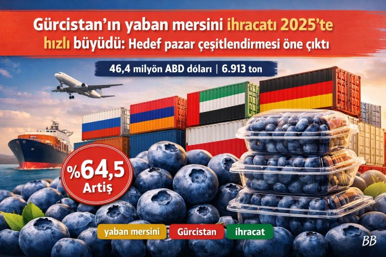 Gürcistan’ın yaban mersini ihracatı 2025’te hızlı büyüdü: Hedef pazar çeşitlendirmesi öne çıktı görseli