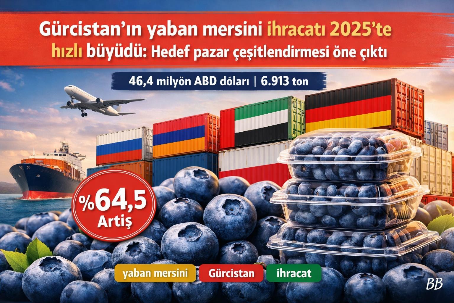 Gürcistan’ın yaban mersini ihracatı 2025’te hızlı büyüdü: Hedef pazar çeşitlendirmesi öne çıktı gorseli