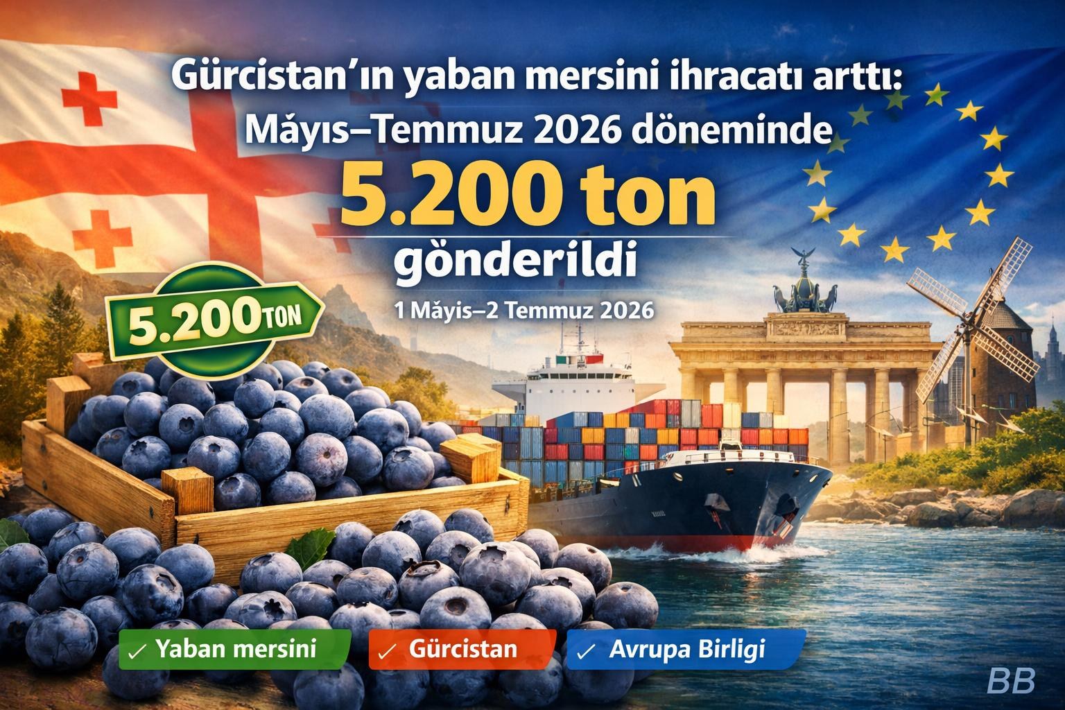 Gürcistan'ın yaban mersini ihracatı arttı: Mayıs–Temmuz 2026 döneminde 5.200 ton gönderildi gorseli