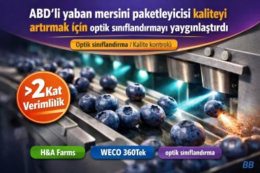 ABD'li yaban mersini paketleyicisi kaliteyi artırmak için optik sınıflandırmayı yaygınlaştırdı görseli