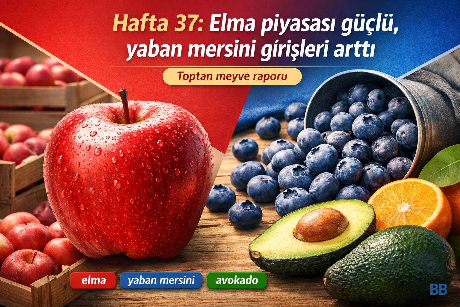 Hafta 37: Elma piyasası güçlü, yaban mersini girişleri arttı görseli